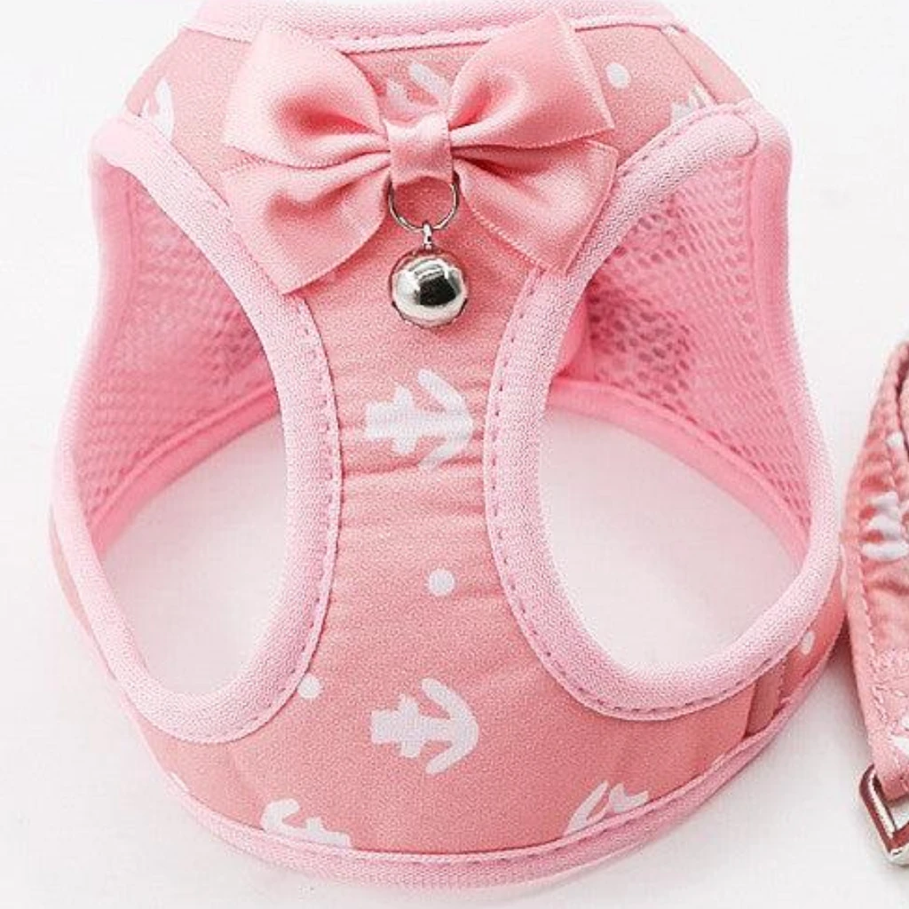 Dog Hugs Cat Grid Pattern Cat Chain Traction Rope Set With Chest Harness And Collar
