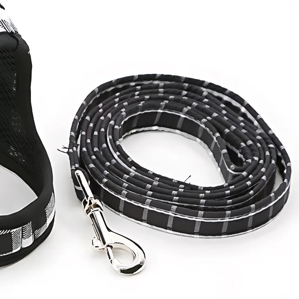Dog Hugs Cat Grid Pattern Cat Chain Traction Rope Set With Chest Harness And Collar