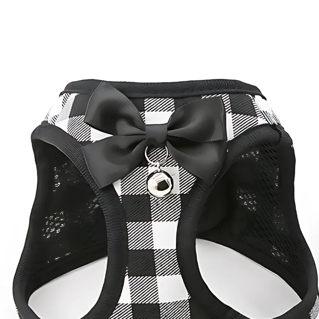 Dog Hugs Cat Grid Pattern Cat Chain Traction Rope Set With Chest Harness And Collar
