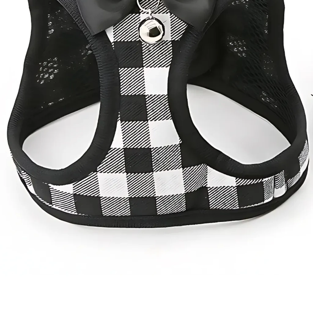 Dog Hugs Cat Grid Pattern Cat Chain Traction Rope Set With Chest Harness And Collar