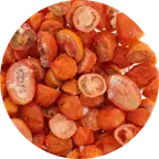 Product preview image