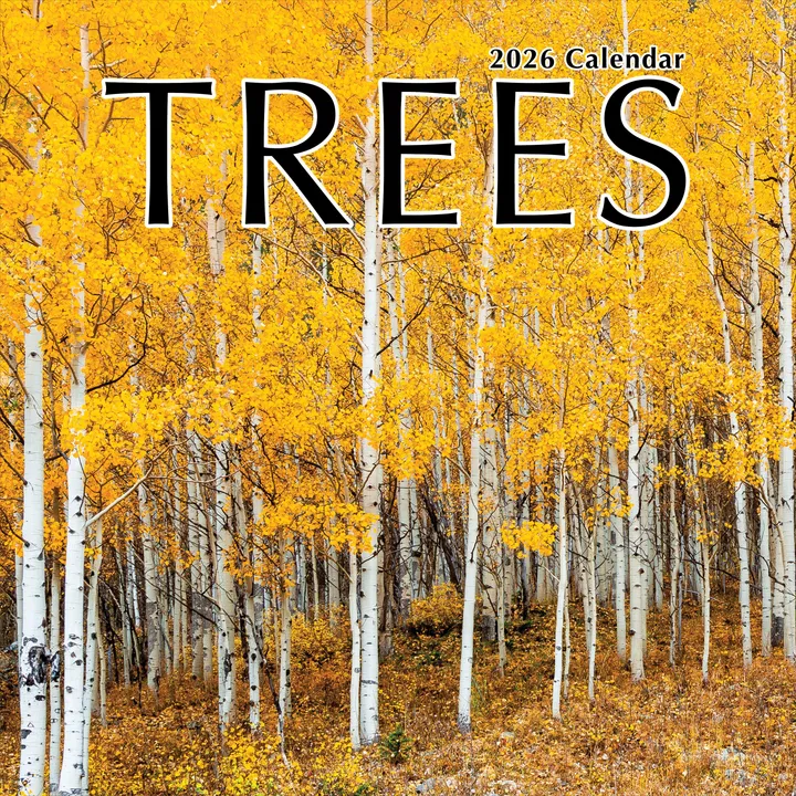 TF Publishing 2026 Wall Calendar
