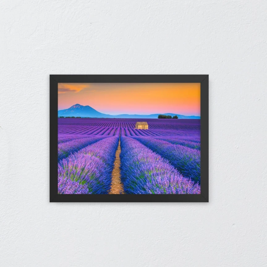 PIPA Fine Art Blooming Lavender Field & Sunset Floral Framed Photo Wall Art Prints