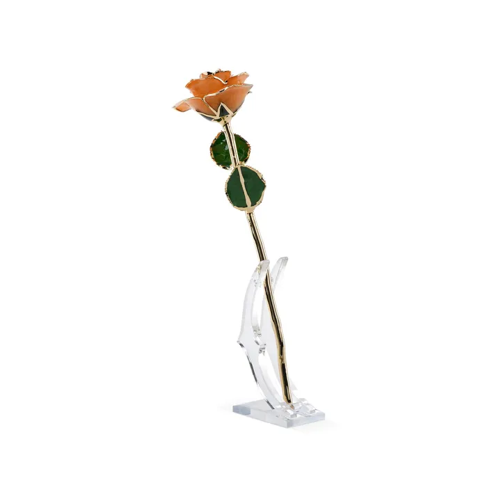 Rosephoria Timeless Rose