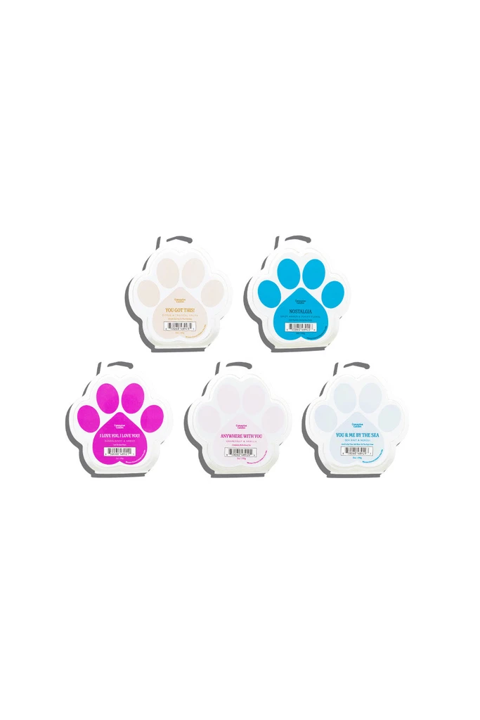 Companion Candles Wax Melt Rainbow