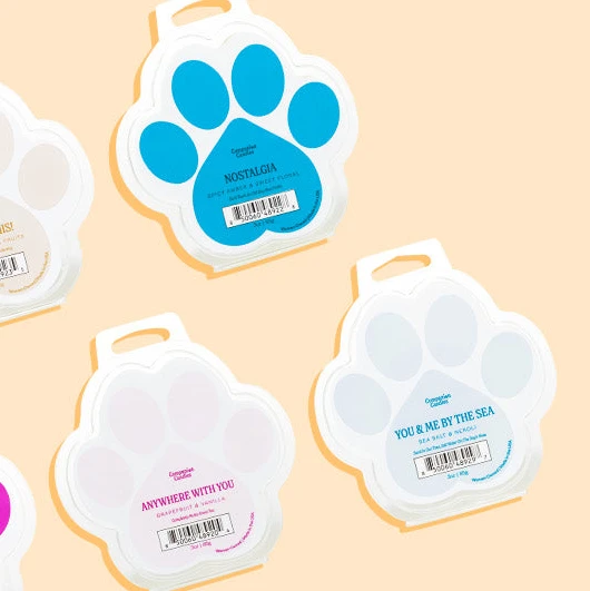 Companion Candles Wax Melt Rainbow