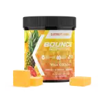 Electrolyte Gummies - Hydration Formula