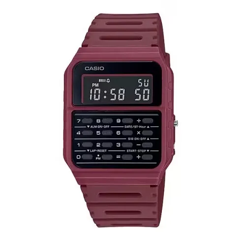 Casio Data Bank