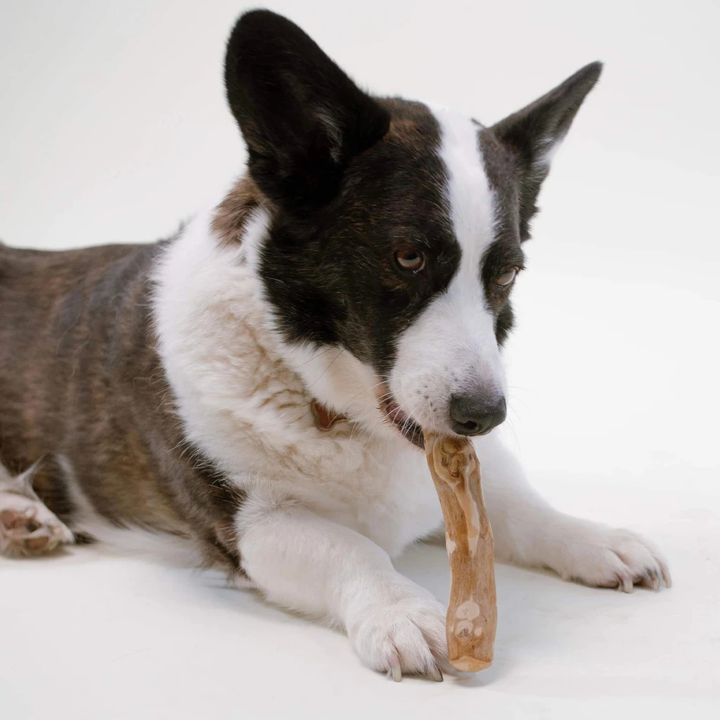 Pupford  Dog Chew Small 4-6"