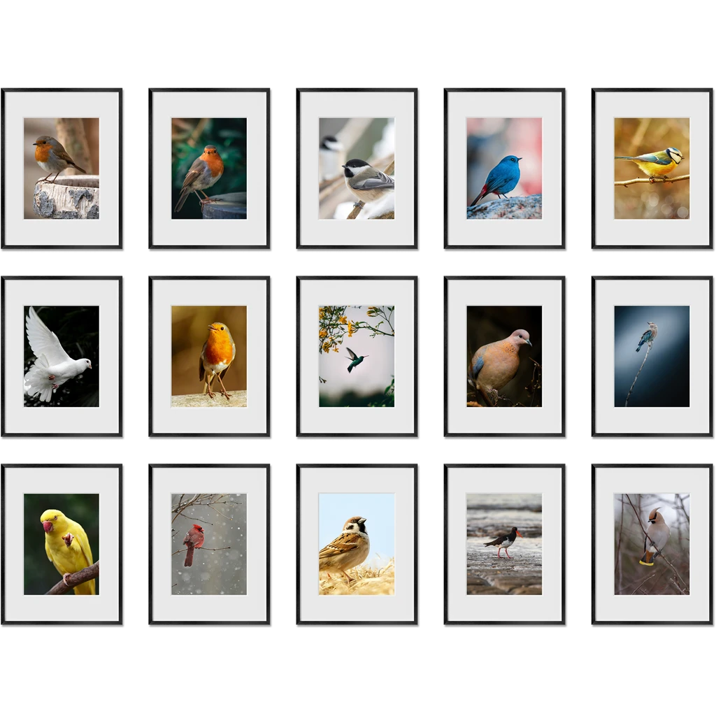 Haus and Hues Set Of 15 Gallery Frames - With Matting - Frames Only, No Printing