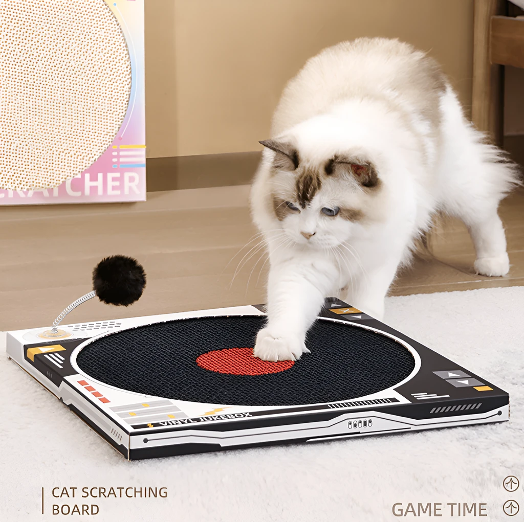 8 Side Vinyl Record Player Cat Retro Scratch Board Toy