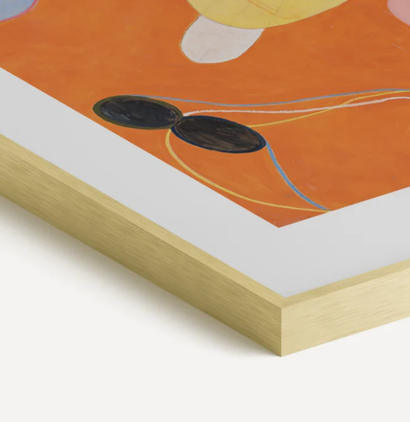 Haus and Hues Set Of 2 Gallery Frames - With Matting - Frames Only, No Printing