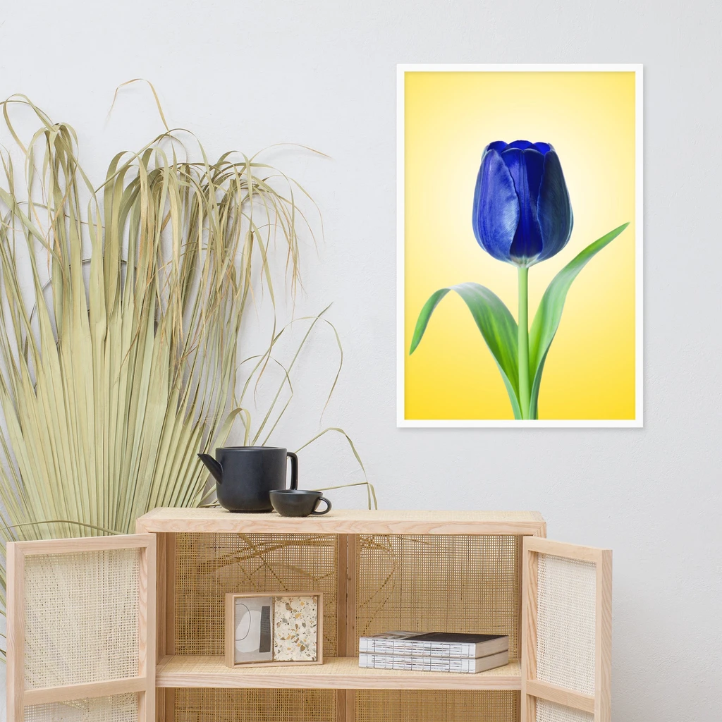 PIPA Fine Art Blue Tulip Minimal Floral Framed Wall Art for Home Decor