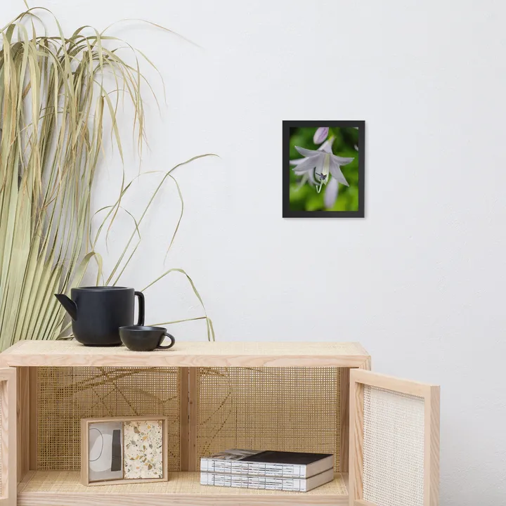 PIPA Fine Art Hosta Bloom Floral Nature Photo Framed Wall Art Print