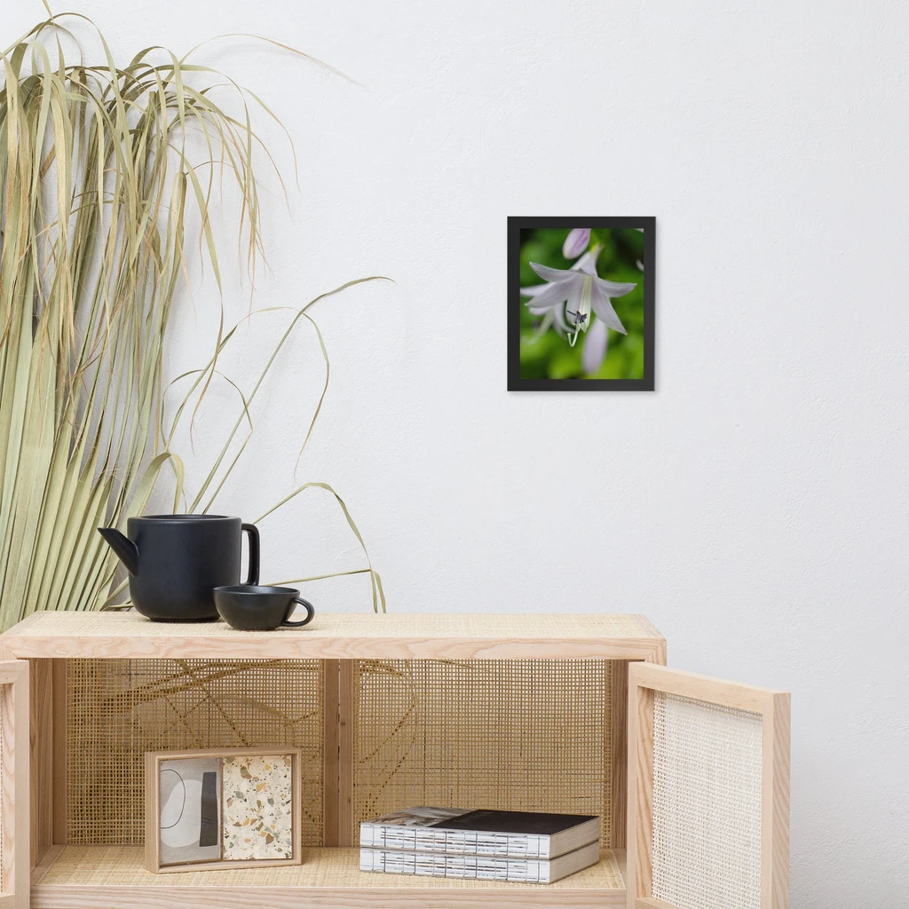 PIPA Fine Art Hosta Bloom Floral Nature Photo Framed Wall Art Print