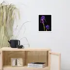 Product preview image