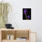 Product preview image