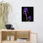 Product preview image
