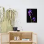 Product preview image