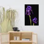 Product preview image