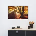 Product preview image
