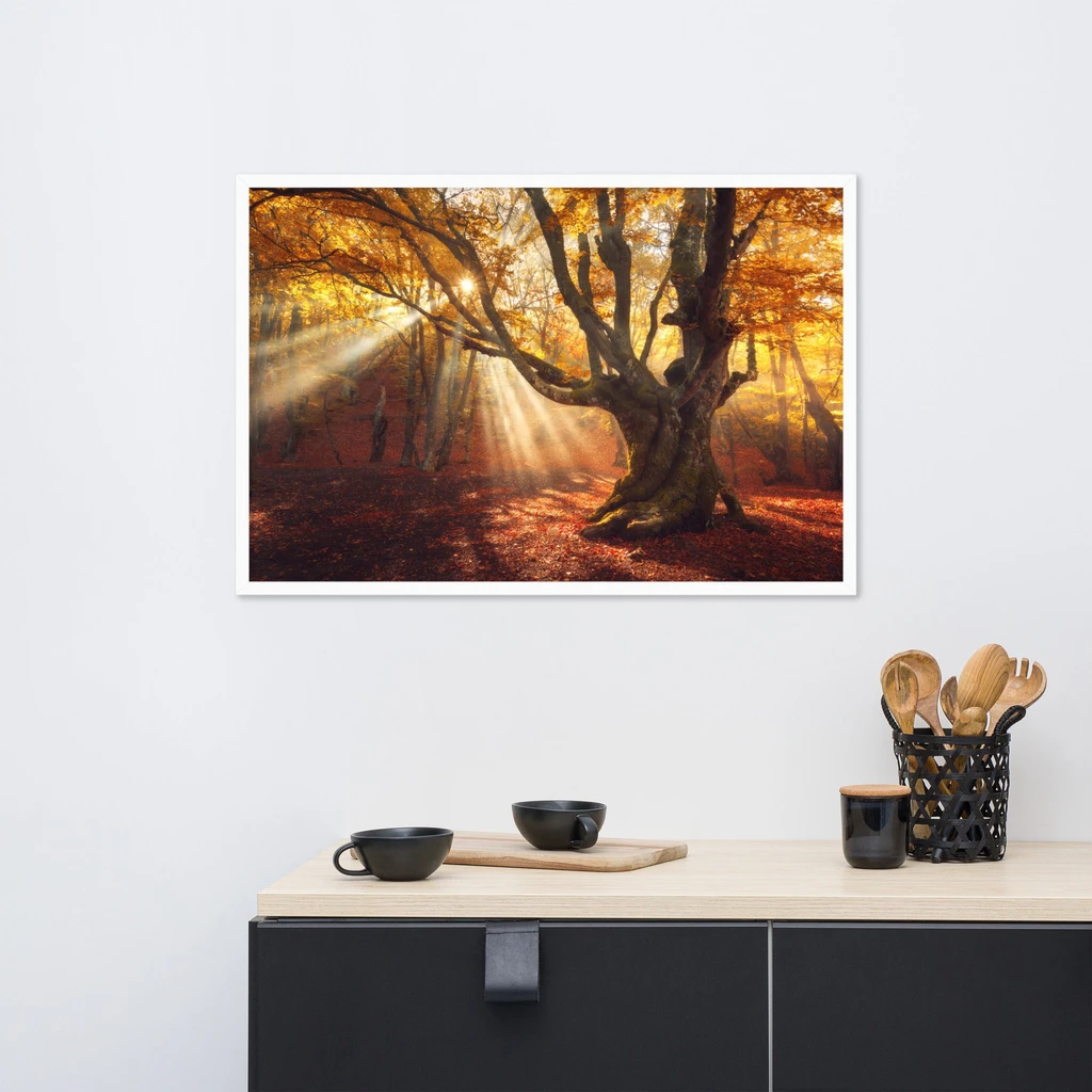 PIPA Fine Art Enchanting Old Tree Framed Wall Art for Rustic Home Decor