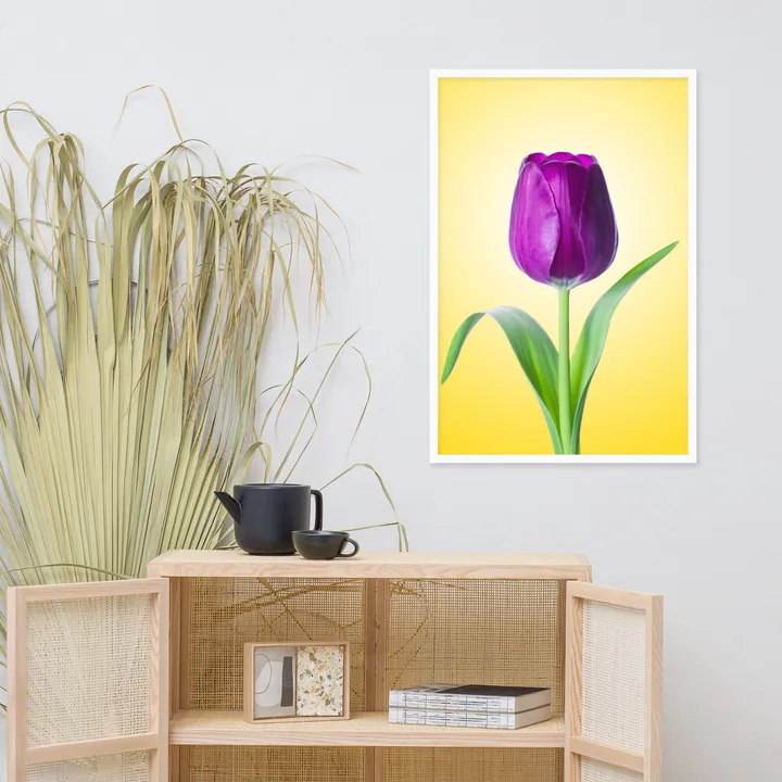 PIPA Fine Art Purple Tulip on Yellow Framed Wall Art for Bright Home Decor