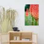 Product preview image