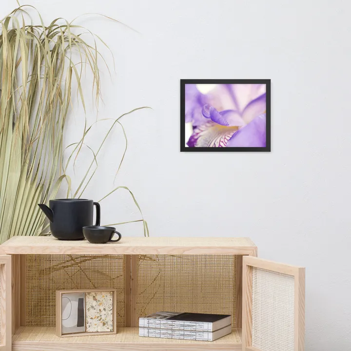 PIPA Fine Art Soft Focus Iris Petals Framed Wall Art - Nature Photography