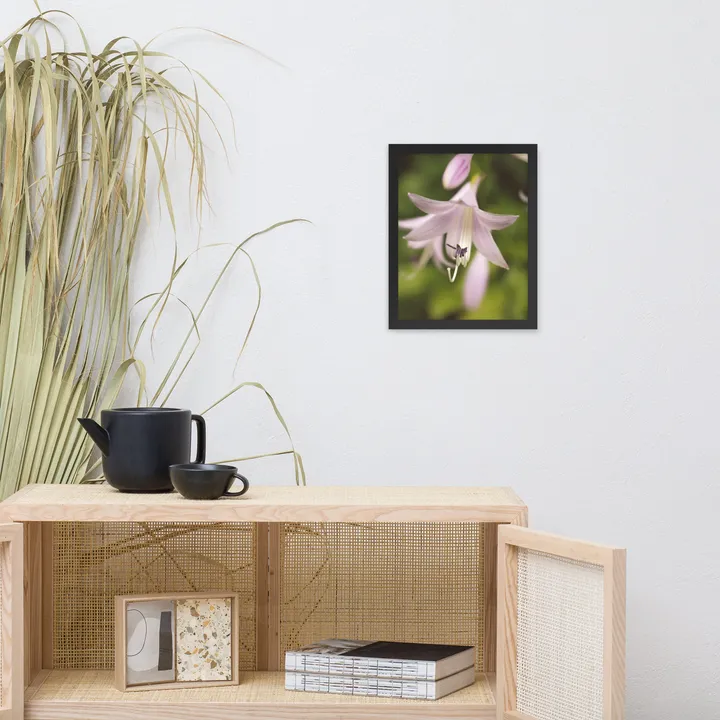 PIPA Fine Art Softened Hosta Bloom Framed Wall Art - Nature's Serenity
