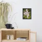 Product preview image