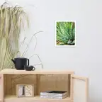 Product preview image