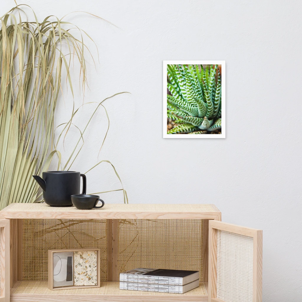 PIPA Fine Art Succulent 2 Framed Botanical Wall Art for Home Decor