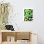 Product preview image