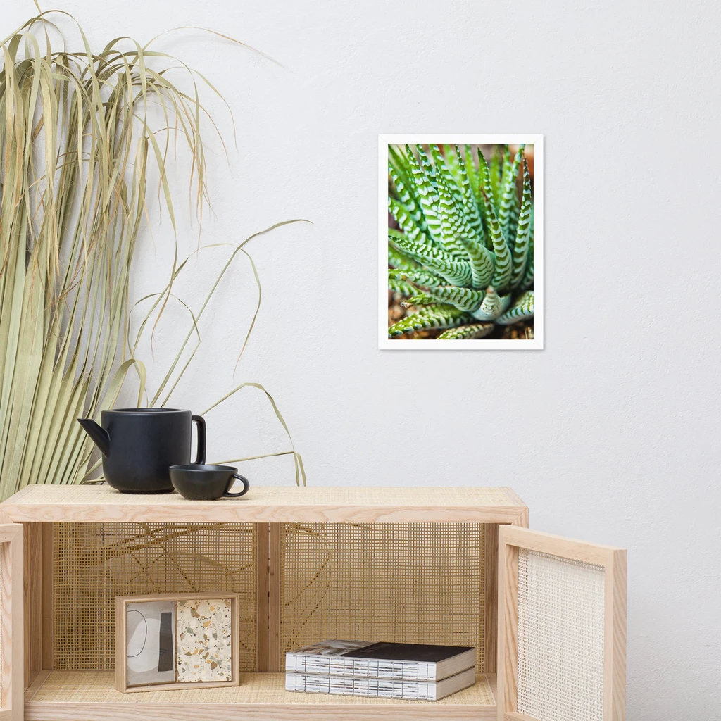 PIPA Fine Art Succulent 2 Framed Botanical Wall Art for Home Decor