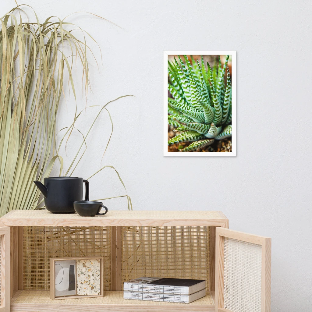 PIPA Fine Art Succulent 2 Framed Botanical Wall Art for Home Decor