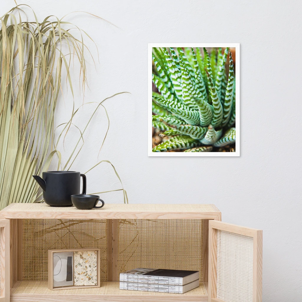 PIPA Fine Art Succulent 2 Framed Botanical Wall Art for Home Decor