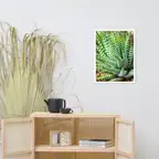 Product preview image
