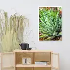 Product preview image