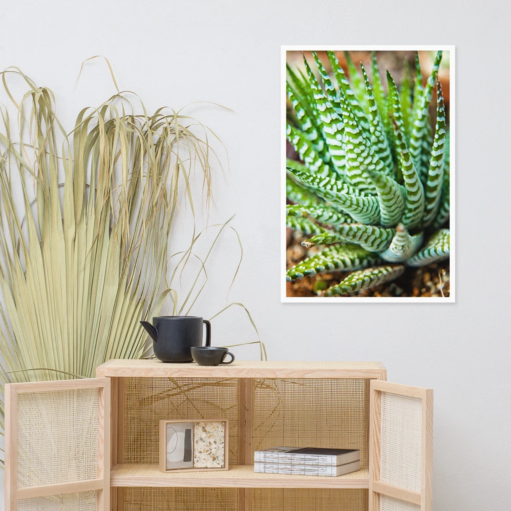 PIPA Fine Art Succulent 2 Framed Botanical Wall Art for Home Decor