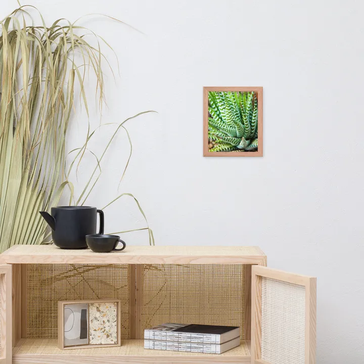 PIPA Fine Art Succulent 2 Framed Botanical Wall Art for Home Decor