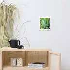 Product preview image
