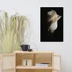 Product preview image