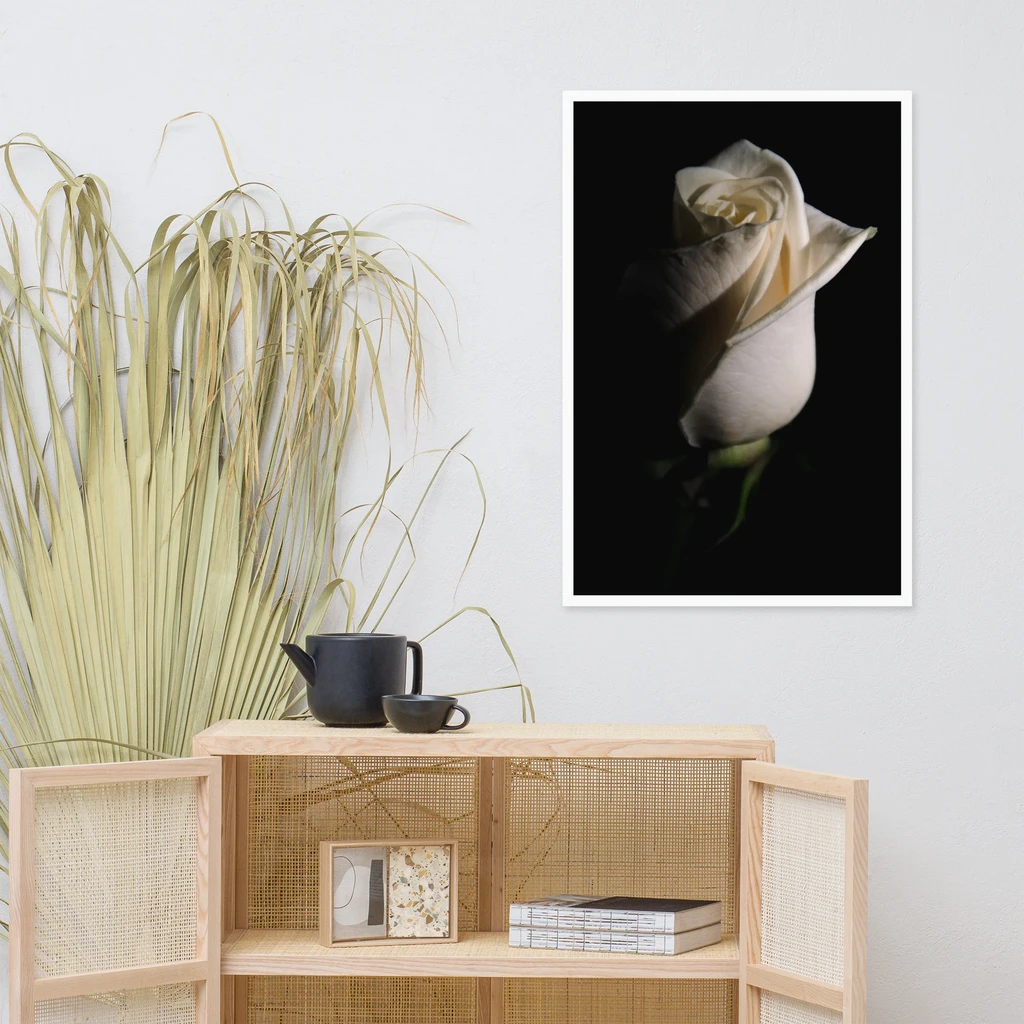 PIPA Fine Art Elegant White Rose Framed Wall Art Print for Home Decor