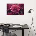 Product preview image