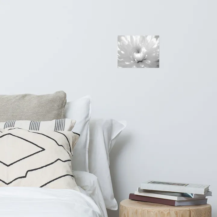 PIPA Fine Art Infrared Flower 2 Black and White Floral Wall Art Print