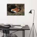 Product preview image
