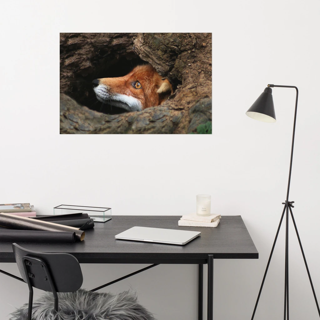 PIPA Fine Art Rustic Red Fox Wildlife Wall Art Print for Home Decor