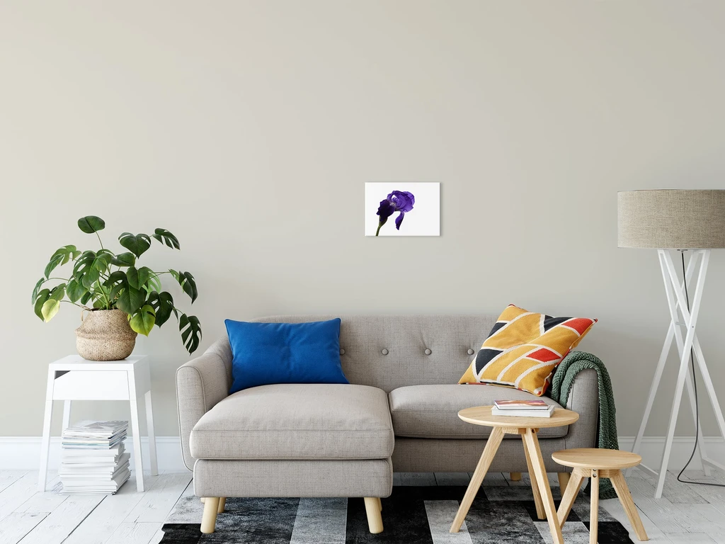 PIPA Fine Art Iris on White Floral Canvas Wall Art - Elegant Home Decor