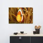 Product preview image